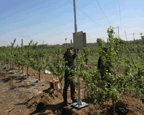 山东海洋市郭城镇项目区2号秋葵视频黄色网站系统