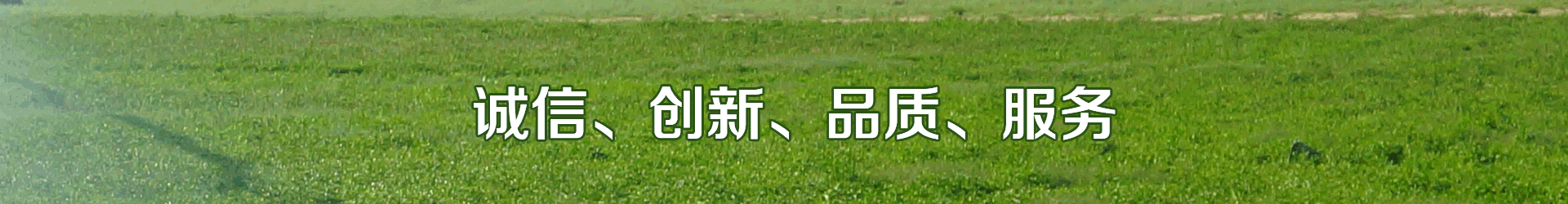 秋葵视频黄色网站系统
