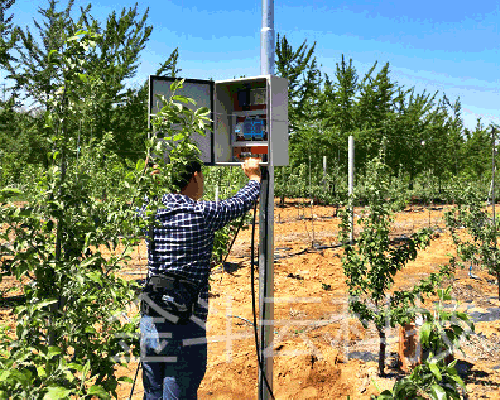 秋葵视频黄色网站系统