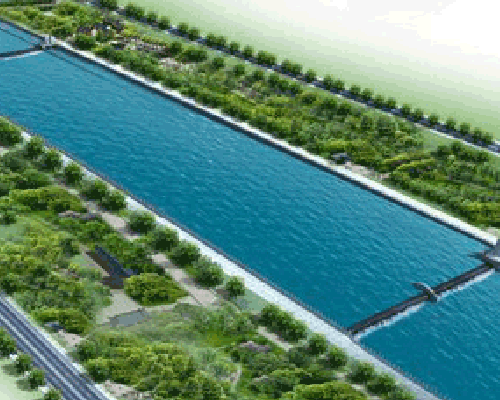 农业秋葵视频黄色网站 农业秋葵视频黄色网站