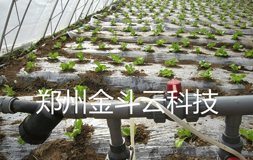 农业秋葵视频黄色网站