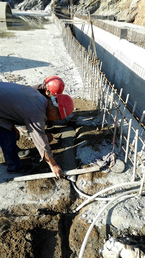 节水秋葵视频黄色网站