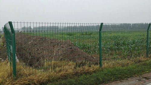 秋葵视频黄色网站系统