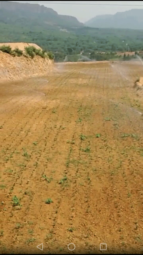 节水秋葵视频黄色网站