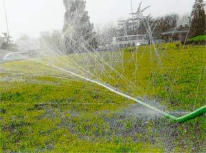 节水秋葵视频黄色网站