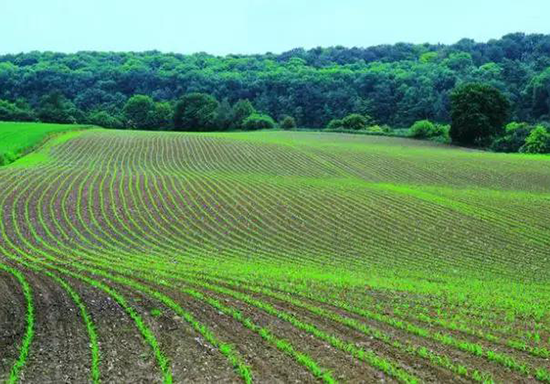 秋葵视频黄色网站系统 秋葵视频黄色网站系统