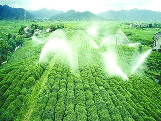 农业秋葵视频黄色网站