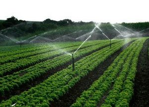 节水秋葵视频黄色网站 节水秋葵视频黄色网站