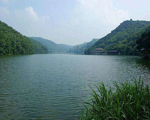 农业秋葵视频黄色网站厂家 农业秋葵视频黄色网站厂家