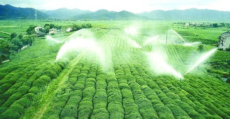秋葵视频黄色网站系统厂家