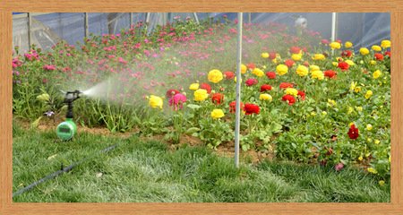 农业秋葵视频黄色网站