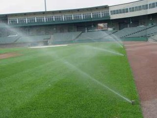 秋葵视频黄色网站系统