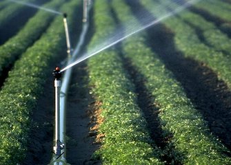 秋葵视频黄色网站系统