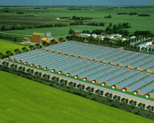 秋葵视频黄色网站系统 秋葵视频黄色网站系统