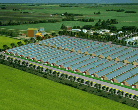 秋葵视频黄色网站系统 秋葵视频黄色网站系统